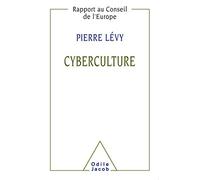 La cyberculture. Rapport au Conseil de l'Europe.