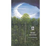 La Déchirure - Henry Bauchau - Actes sud - Poche - Roman