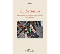 La Déchirure - Photo-Roman Des Ivoiriens Et Des Africains De La Diaspora