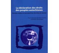La Déclaration Des Droits Des Peuples Autochtones - Genèse, Enjeux Et Perspectives De Mise En Oeuvre
