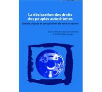 La déclaration des droits des peuples autochtones Genèse, enjeux et perspectives de mise en oeuvre - Claire Charters - L'harmattan - broché - Etude