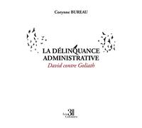 La délinquance administrative - David contre Goliath