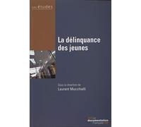 La délinquance des jeunes