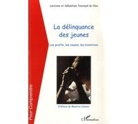 La délinquance des jeunes