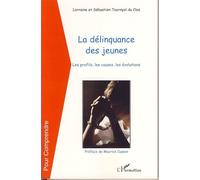 La délinquance des jeunes Les profils, les causes, les évolutions - Lorraine Tournyol Du Clos - L'harmattan - broché - Etude