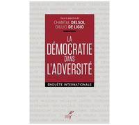 La Démocratie Dans L'adversité - Enquête Internationale