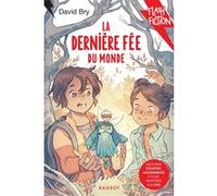La dernière fée du monde David Bry (Auteur), Marianne Alexandre (Illustration)