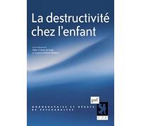 La destructivité chez l'enfant