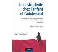 La destructivité chez l'enfant et l'adolescent - 2ème édition