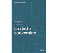 La dette souveraine: Economie politique et l'Etat