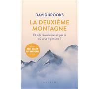 La deuxième montagne: Et si la réussite n'était pas là où vous le pensiez ?