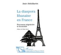 La diaspora libanaise en France: Processus migratoire et économie ethnique