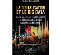 La digitalisation et le big data: Quels impacts sur la performance de l'administration fiscale en République de Guinée