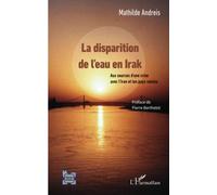 La disparition de l'eau en Irak: Aux sources d'une crise avec l'Iran et les pays voisins