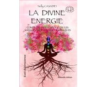 La Divine Energie: Comprendre et connaître les soins énergétiques et karmiques