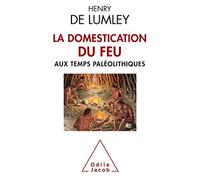 La domestication du feu aux temps paléolithiques