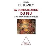 La Domestication Du Feu Aux Temps Paléolithiques