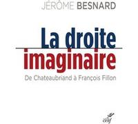 La droite imaginaire Jérôme Besnard (Auteur)