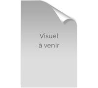 La fabrique de la compliance: Dynamiques du droit et complexité en entreprise