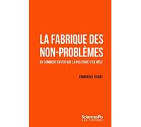 La fabrique des non-problèmes: Ou comment éviter que la politique s'en mêle