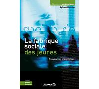 La Fabrique Sociale Des Jeunes - Socialisations Et Institutions