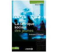 La Fabrique Sociale Des Jeunes - Socialisations Et Institutions