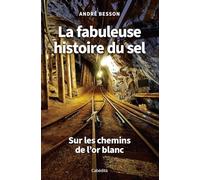 La fabuleuse histoire du sel - Sur les chemins de l'or blanc