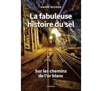 La fabuleuse histoire du sel Sur les chemins de l'or blanc - André Besson - Cabedita - broché - Essai