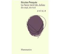 La face nord de Juliau. Dix-sept, dix-huit – Flammarion