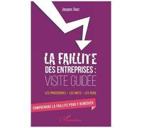 La Faillite Des Entreprises : Visite Guidée - Les Procédures, Les Mots, Les Gens