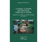 La famille, à travers ses fonctions, ses embûches et espoirs: Repenser les stratégies de stabilité familiale au Sud-Kivu