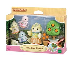 La famille Oiseau Citrus - Les familles - Des 3 ans