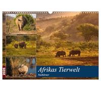 La faune africaine : les rhinocéros, Version française (Calendrier mural 2026 DIN A3 portrait), Calendrier CALVENDO mensuel