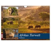 La faune africaine : les rhinocéros, Version française (Calendrier mural 2026 DIN A4 portrait), Calendrier CALVENDO mensuel