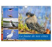 La faune de nos côtes les oiseaux (Calendrier mural 2026 DIN A4 horizontal), CALVENDO calendrier mensuel