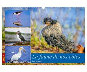 La faune de nos côtes les oiseaux (Calendrier mural 2027 DIN A3 vertical), CALVENDO calendrier mensuel: La faune aviaire qui peuple nos littoraux
