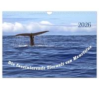 La faune fascinante de l'île Maurice - Moments magiques de la nature (Calendrier mural 2026 DIN A4 horizontal), CALVENDO calendrier mensuel