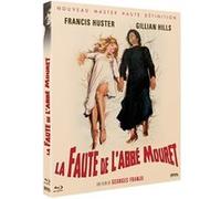 La Faute de l'abbé Mouret Blu-ray E