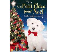 La Féérie De Noël