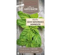 La Ferme de Sainte Marthe Basilic "Géant Monstrueux Mammouth" - 1 sachet