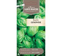 La Ferme de Sainte Marthe Basilic "Genovese" - 1 sachet