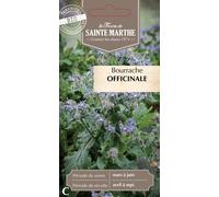 Graines à semer - Bourrache bio