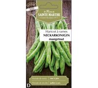 La Ferme de Sainte Marthe Haricot à Rames "Neckarkonigin Filet Sans Fil Mangetout" - 1 sachet