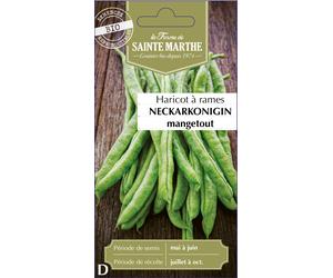 La Ferme de Sainte Marthe Haricot à Rames "Neckarkonigin Filet Sans Fil Mangetout" - 1 sachet