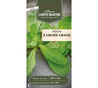 La Ferme de Sainte Marthe Mâche "à Grosses Graines" - 1 sachet