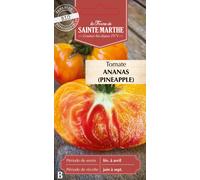 La Ferme de Sainte Marthe Tomate "Ananas (Pineapple)" - 1 sachet
