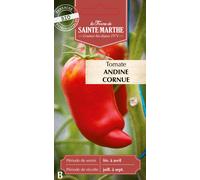 La Ferme de Sainte Marthe Tomate "Andine Cornue" - 1 sachet