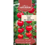 La Ferme de Sainte Marthe Tomate "Miel du Mexique" - 1 sachet