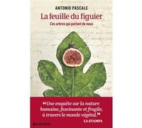La Feuille du figuier Pascale Antonio (Auteur), Marianne Faurobert (Traduction)