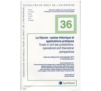 La Fiducie : Assise Théorique Et Applications Pratiques